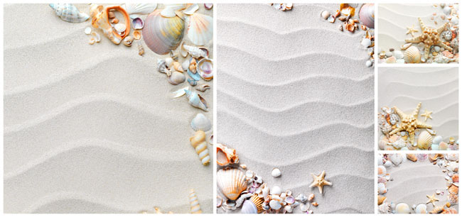 彩砂与海沙还有贝壳